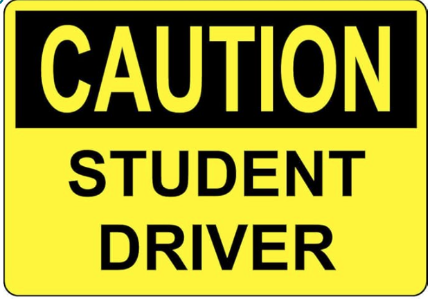 From Side Streets to Superhighways: Fostering Growth in Software Teams